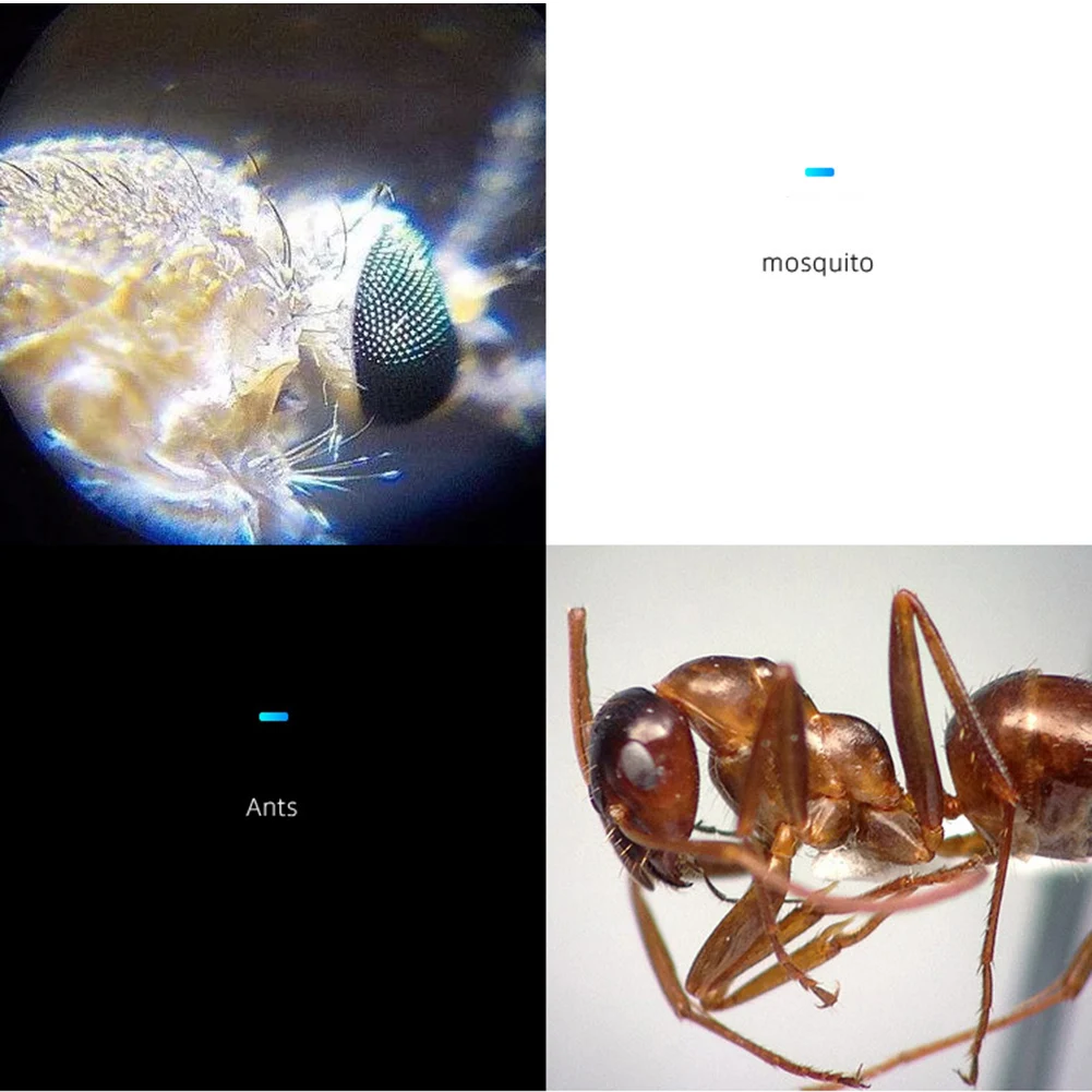 Compact Mobile Phone Magnifier Equipped with LED for Enhanced For Detail Suitable for Professionals and Enthusiasts