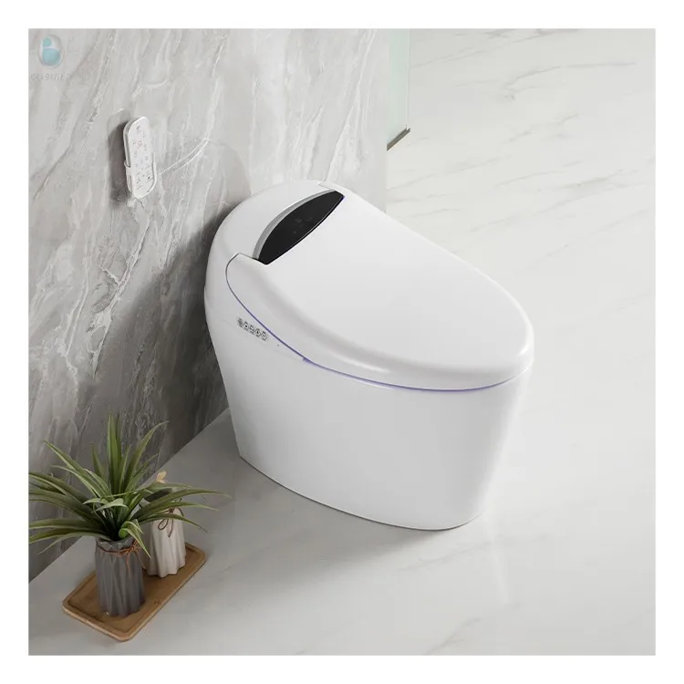 

Modern Automatic Smart Bidet Ceramic Floor-Mounted Toilet Remote Control Elongated Gravity Flushing Night Light-for Female Use