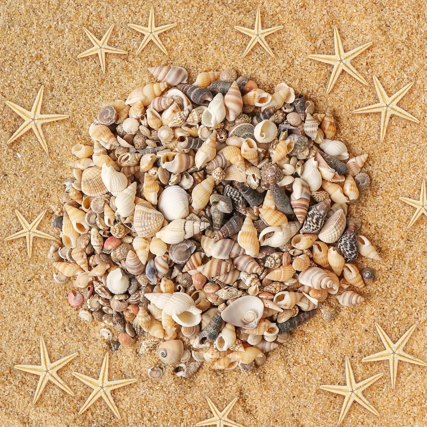 

Pieces Tiny Sea Shells Small Natural Starfish Mixed Ocean Beach Spiral Shells for Home Decorations, Beach Theme Party, Candle Ma