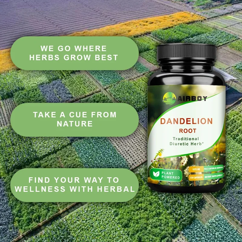 Dandelion Root Capsules - Diuretic, Promote Liver Detoxification and Cleansing, Enhance Immunity