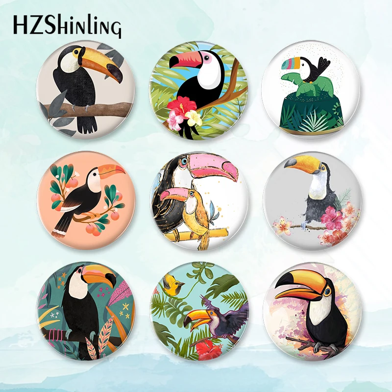 Broche de insignia de tucán para mujer, alfiler de botón de pájaro Tropical, alfileres de decoración de mochila, joyería redonda, regalo, 2023