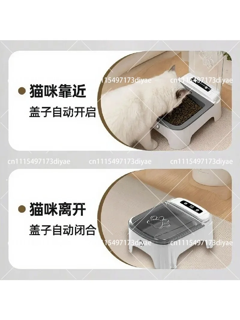 Automatic Cat Feeder with Induction Lid, Dustproof Insect-Proof Bowl, Neck Protection, Timed Food Dispenser for Cats and Dogs