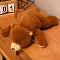 Brown Bear