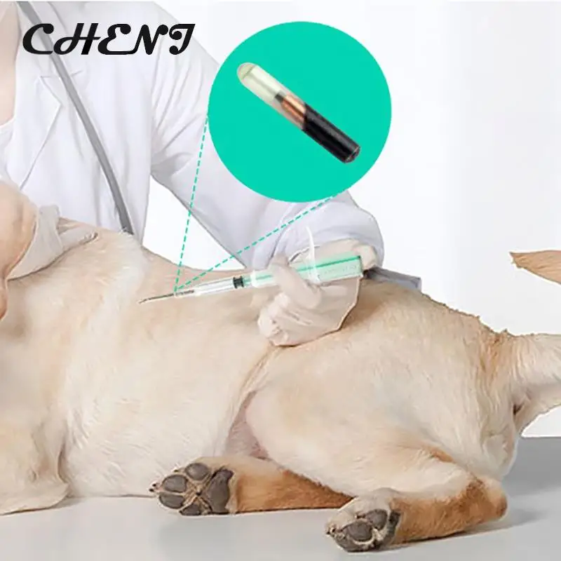 1.25*7mm/1.4*8mm/2.12*12mm Pet Animal Microchip Syringe Horse Dog Microchip Pet Chip Animal Chip Syringe For Dogs Cats Fish