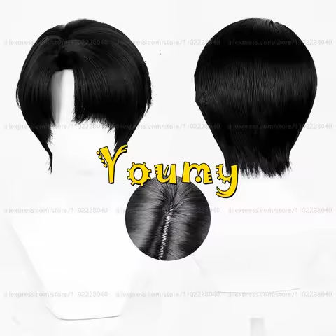 Levi Ackerman Wig 30cm Short Scalp Hair Black Wig Cosplay Anime Cosplay Wigs Heat Resistant Synthetic Wigs