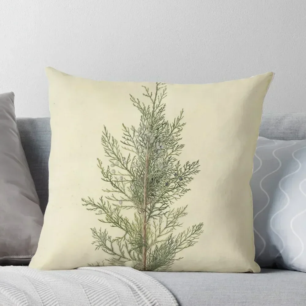 

Botanical Juniper Throw Pillow Pillowcases For Pillows Cushion Cover Set luxury home accessories Christmas Covers pillow