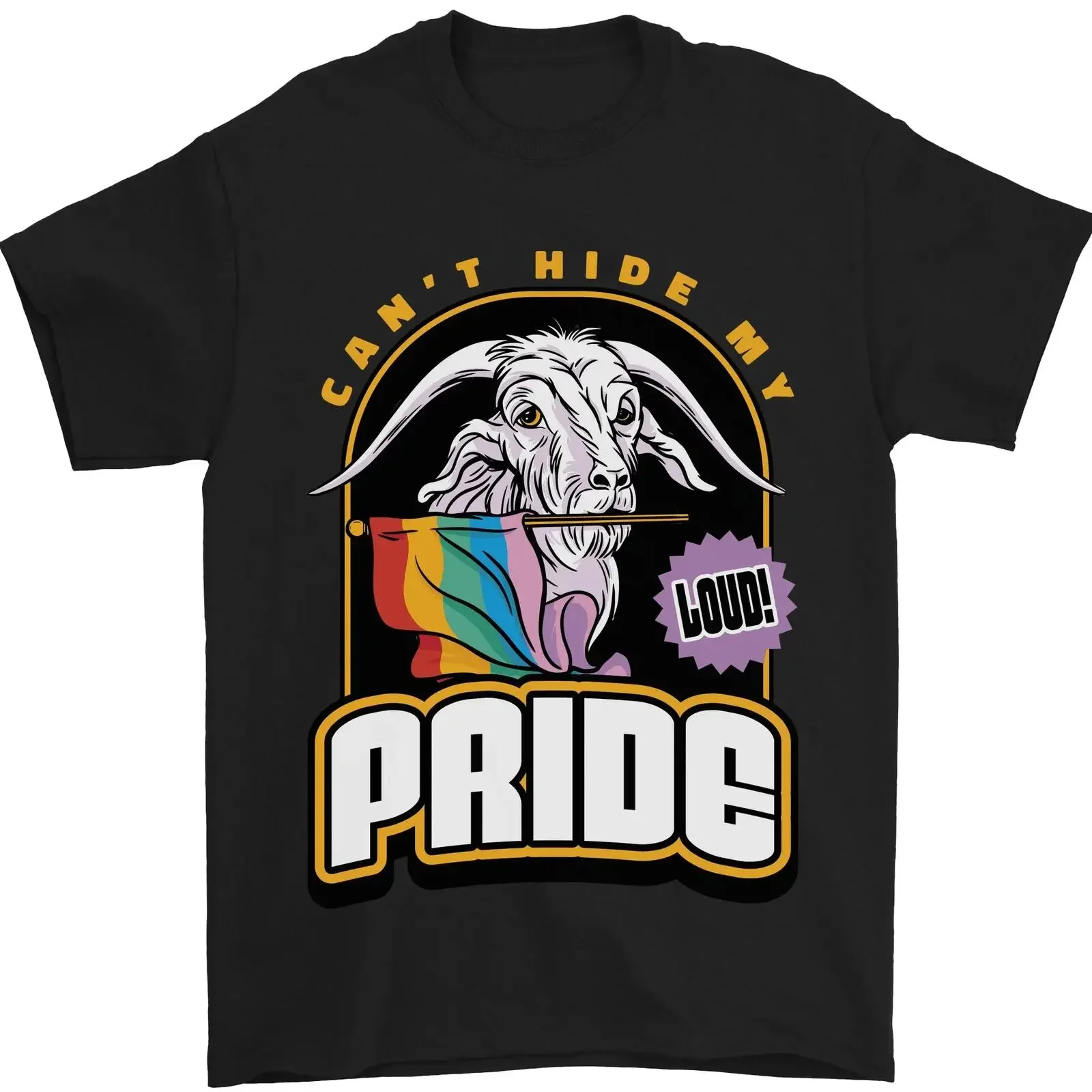 Cant Hide My Pride LGBT Gay Awareness Herren T Shirt 100 Baumwolle vintage Washed Comfortable homme Stylish Slightly Casual