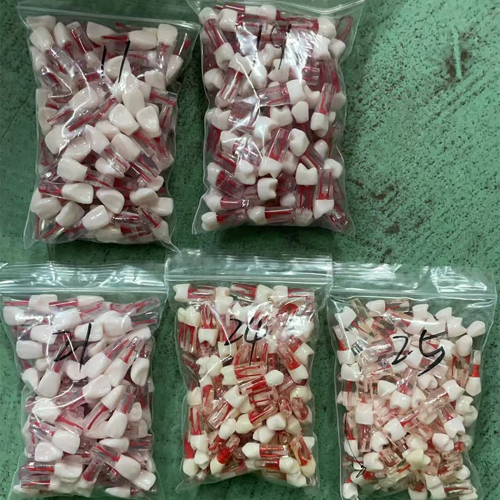5pcs Dental Tooth Model Root  Root Canal  RCT Practice Teeth Pulp Cavity Resin Teeth Study Endo Training Teaching Study Model