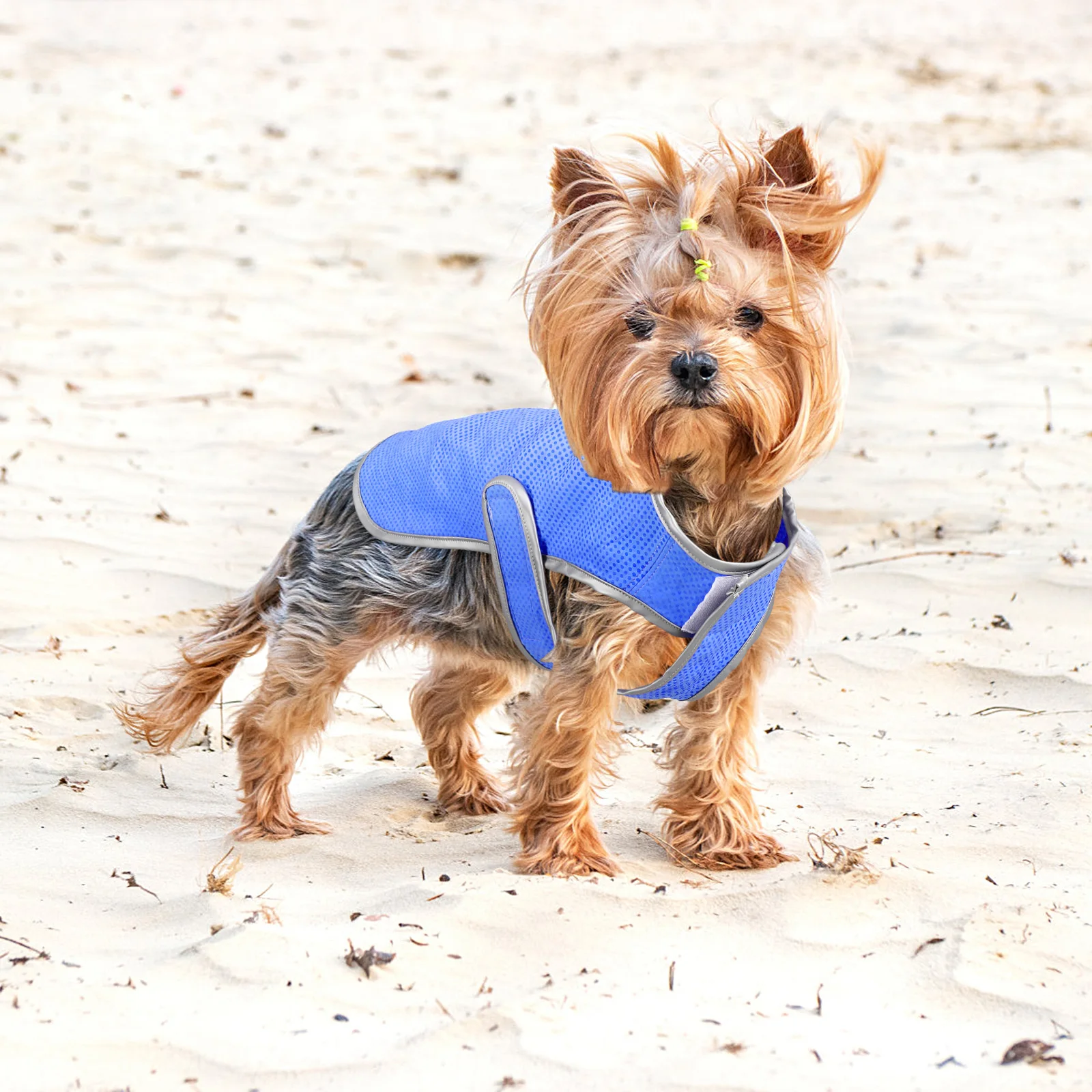 

Dog Cooling Vest Pet Supplies PVA Technology Double Seamed Fabric Chemical Free Environmentally Friendly Flexible for Small
