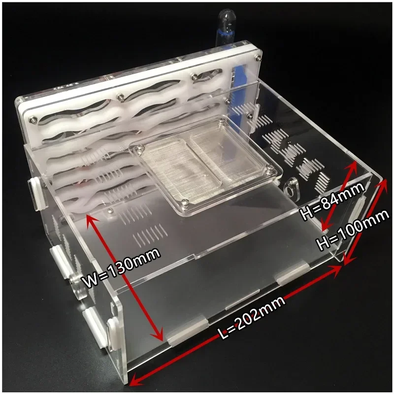 CWXTGS 1 шт. акриловое муравьиное гнездо для домашних животных, живая муравья, домашняя вилла, альтернативная муравья, мастерская Bionic 2