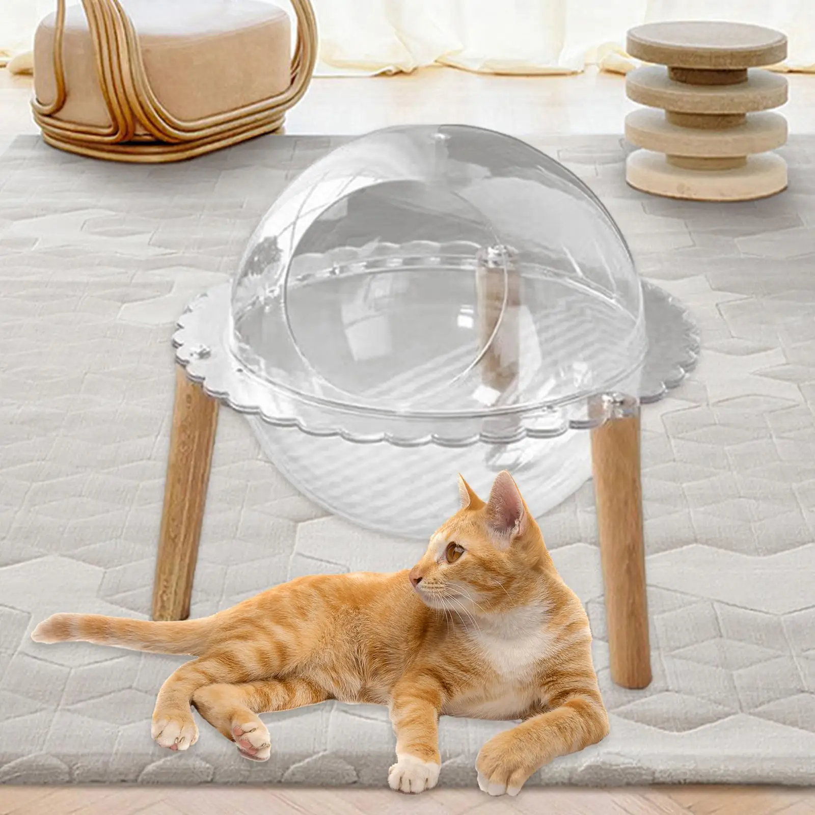 Capsule Cat Bed Freestanding Transparent Cat Habitat All Seasons Kitten