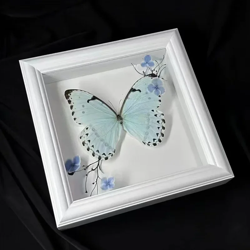 Butterfly Specimen Shadow Box Frame Handmade 2cm Hollow Insect Display Case for DIY Decoration Picture Frame Home Decor