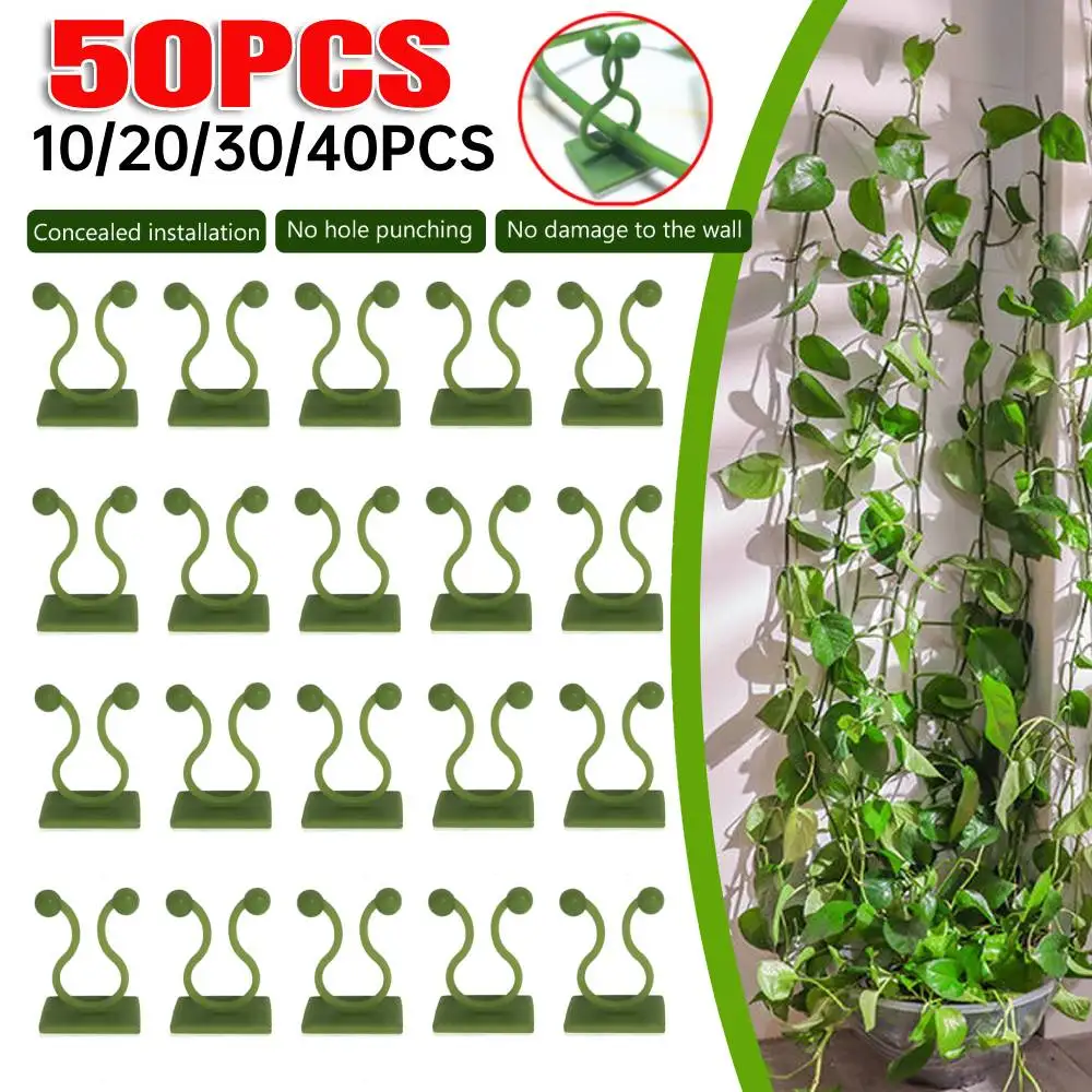 10-50Pcs Plant Climbing Wall Fixture Clips Rattan Vine Fixer Self-Adhesive Hook Invisible Garden Binding Clip Wall Sticky Clip