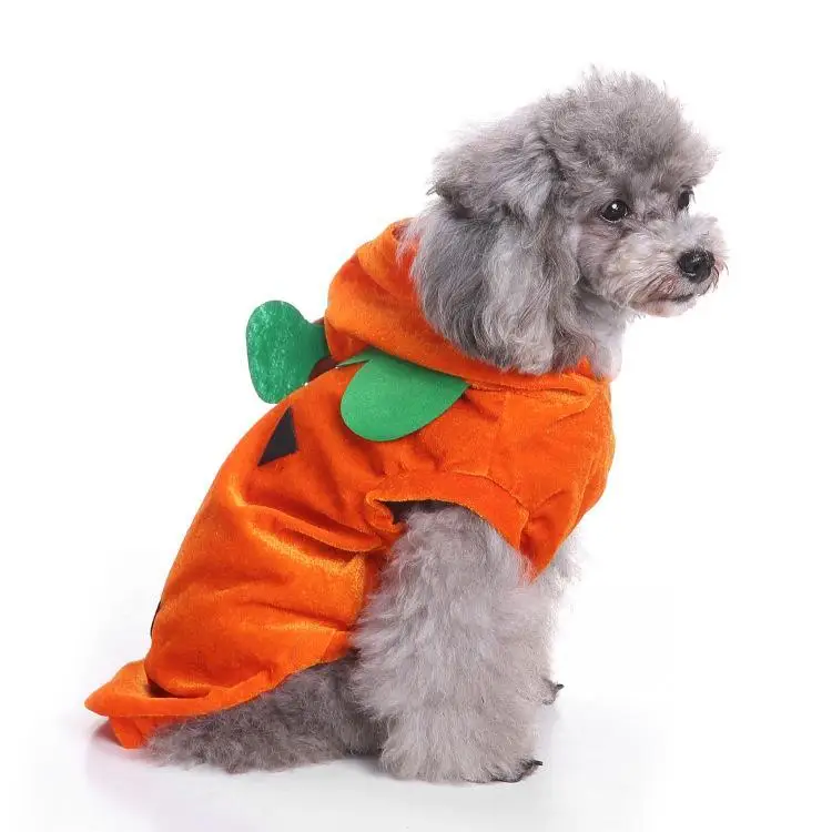 Hot selling pet Halloween costumes props dog transformation costumes bat costumes, cat riding costumes