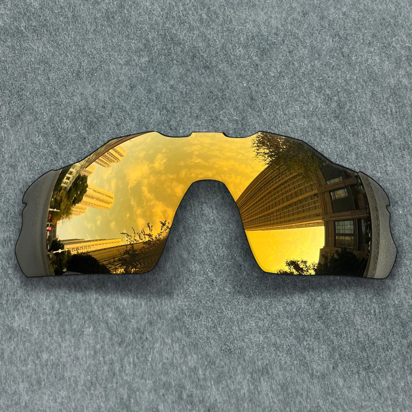 Variant: Bronze-Polarized