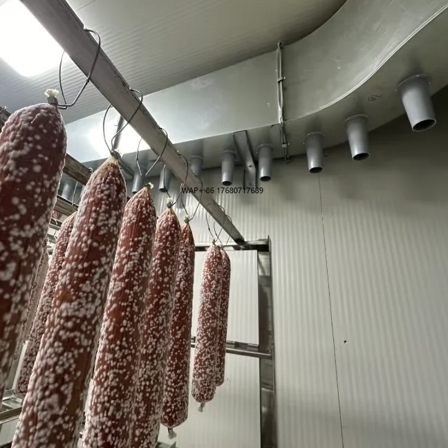 Sausage & Fermented Meat Production Line: Smart Temp/Humidity Control, Remote Monitoring, 304 Stainless Steel, Full Plant Design