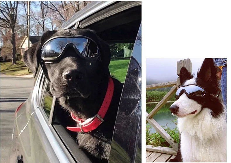 Transparente Farbige Hunde-Schutzbrille Wasserdicht Winddicht Sonnenschutz UV-Beständig Große Hundebrille – Detail 16