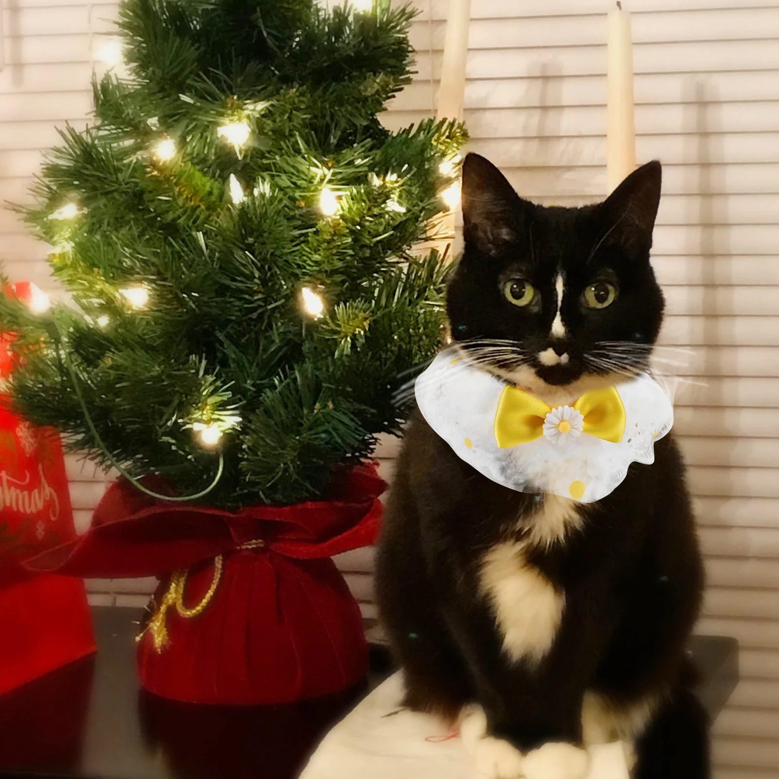 

Adjustable Decorative Cat Dog Neck Wear-Resistant Reusable Collars For Puppy Household Outdoor Lovely Kitten Collar Scarf Lace