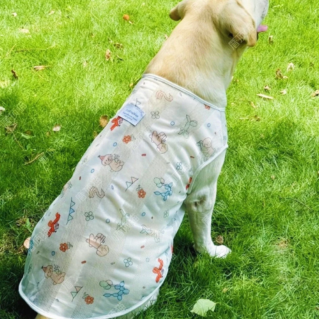 Lightweight Me Dog …