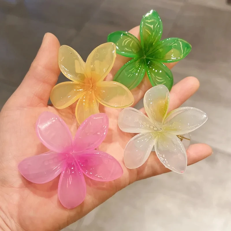 

AISHG Candy Transparent Flower Hair Clip for Women's Beach Vacation Fashion Temperament Duck Billed Clip Girls Hair Accessories