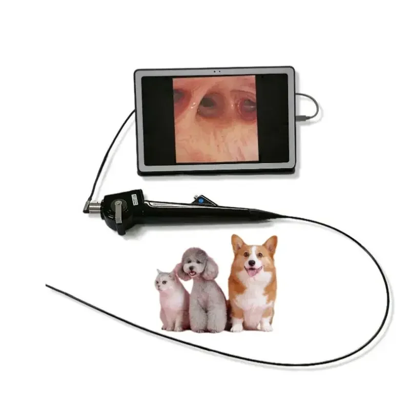 Flexible Professional Portable Video Vet Pet Bronchoscope