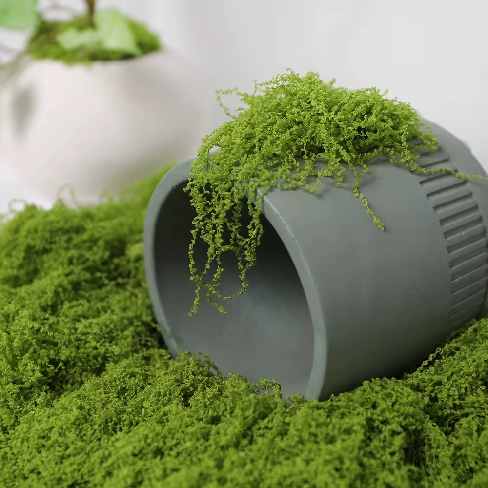 30/100g Künstliche Grünpflanze – Preserved Moss Sheet Bewertung und Preis