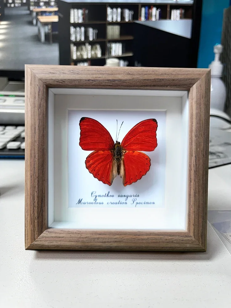 Blood Ripple Nymphs Real Butterfly Specimens Decorative Wall Art Phoenix Butterfly Ornament Solid Wood Photo Frame Souvenir Gift