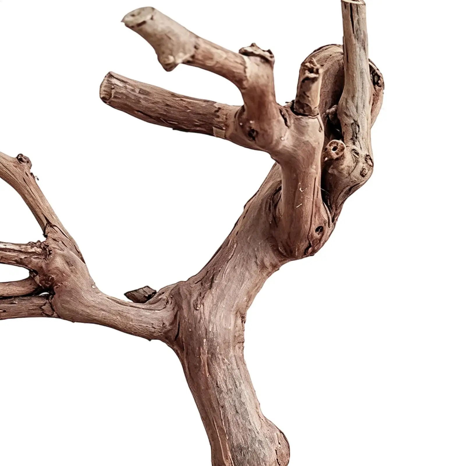 natural grape vine climbing branches Hamster Enrichment Toys Climbing branches small animal cages decoration exploration toys