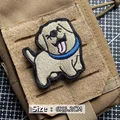 Labrador dog