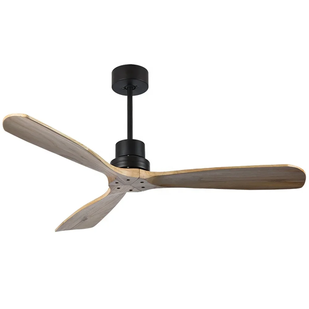 52 Modern Top Designer 220 V Remote Control Vietnam Home Decorative Ceiling Fan With Light