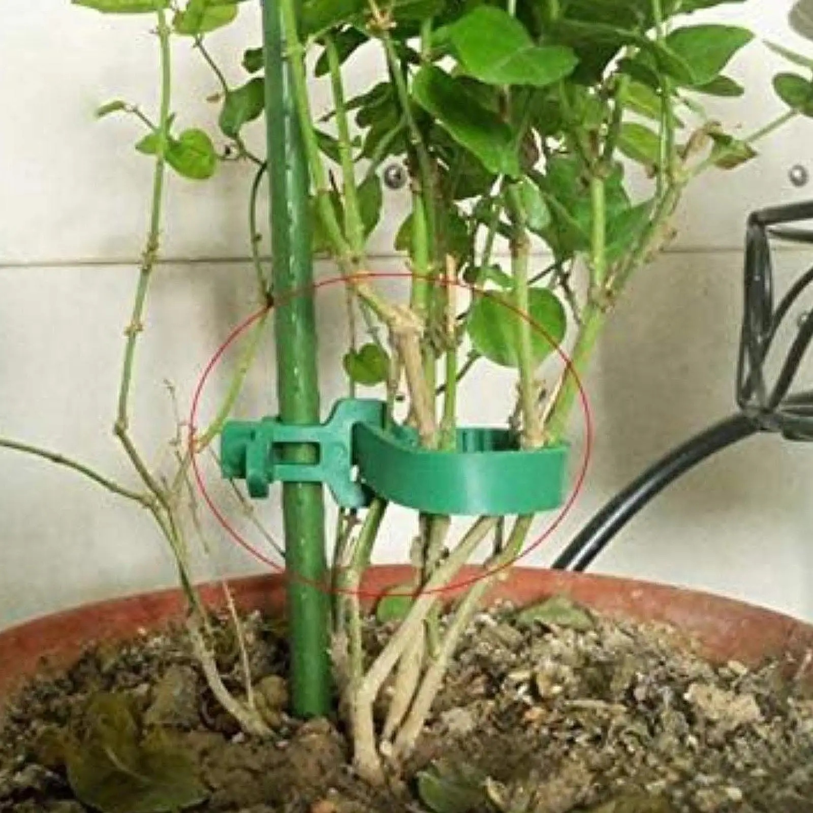 10x Garden Plant Ties Gardening Tools Reusable Multifunctional Flexible Tree