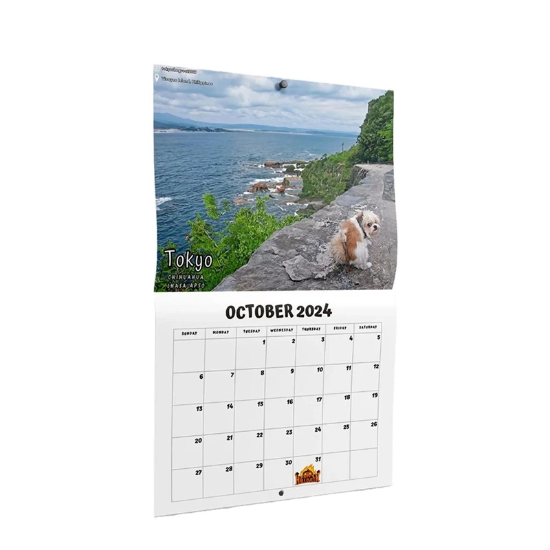 1 PCS 2024 Calendar Wall Calendar January 2024 From December 11X8.5 Inch For Christmas Gift