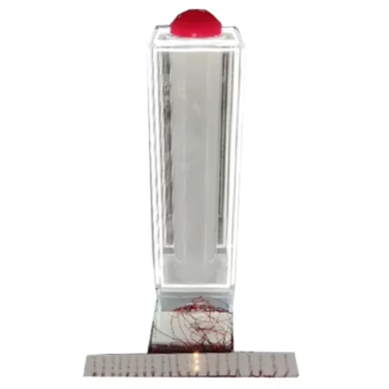 

manufacturers' new lantern coupons are used as props for shopping mall promotions