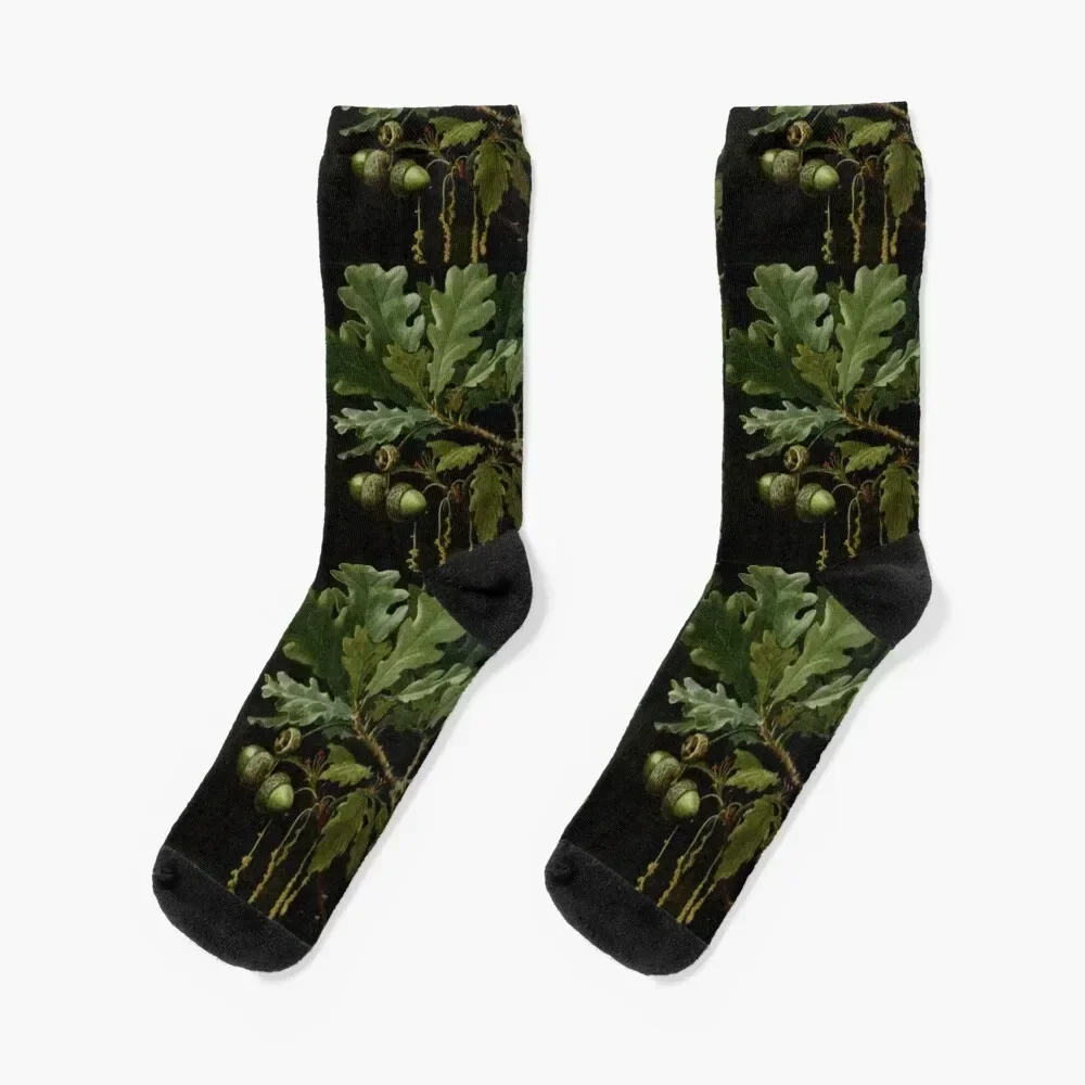 Acorn and Oak Socks sheer floral cotton fashionable Socks For Man Women's