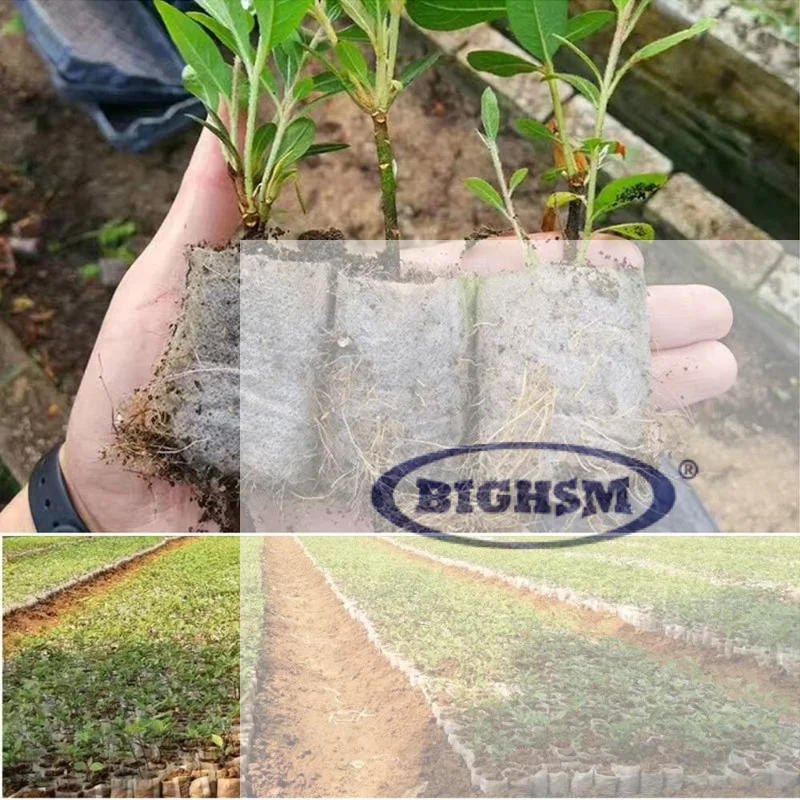 100Pcs Biodegradable Nursery Bag Plant Grow Bags Non-woven Fabric Seeds To Sow Flower Pots For Home Garden Accessories Tools