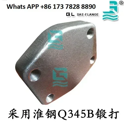 

SAE Flange Cover Slotless-3000PSI-SAE Flange Plug-SAE Flange Blind Plate