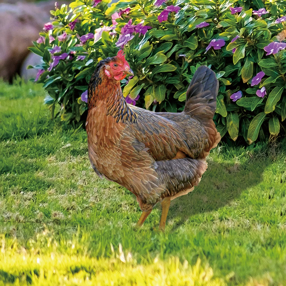 

2Pcs Acrylic Chicken Stake Yard Art Decoration Garden Accessory Lawn Sign Outdoor Decor