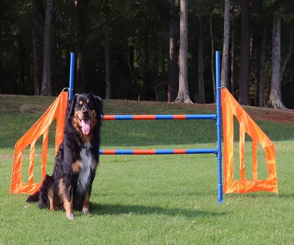 Качели для ловкости домашних собак Pet Teeter FCI