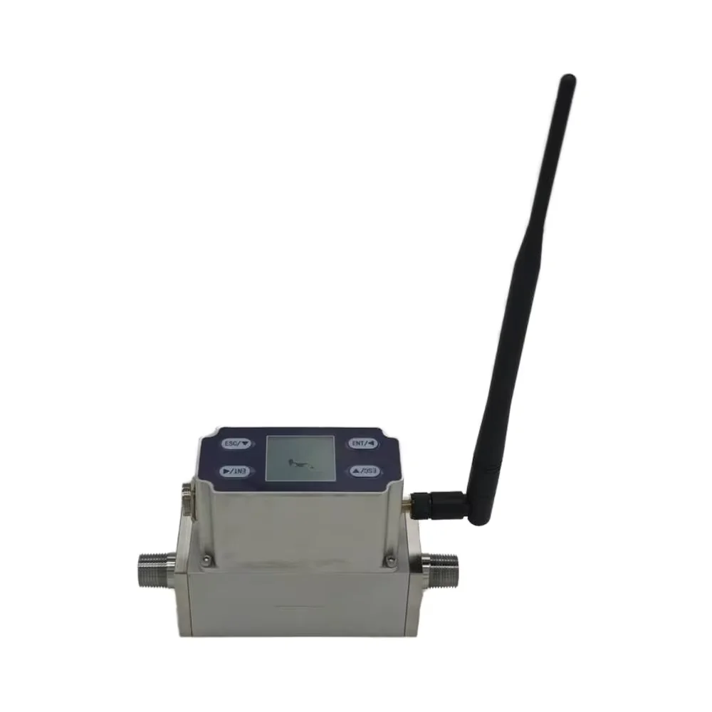 

Micro Thermal Mass Flow Meter Nitrogen Compressed Air Methane Hydrogen Series DN10 15 20 OEM with 4G LoRa iot