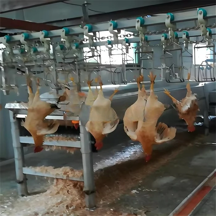 Customized Full Automatic Chicken Duck Goose Slaughtering Production Line Professional Slaughterhouse Farm Equipment