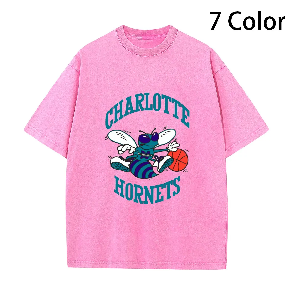 charlotte hornets