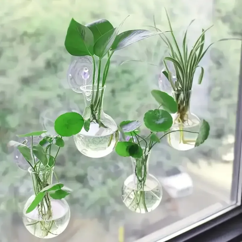 

Creative Semi Circular Class Wall Mounted Vase Flower Plate Plant Hydroponic Aquarium Wall Fish Tank Aquarium Home Decoration