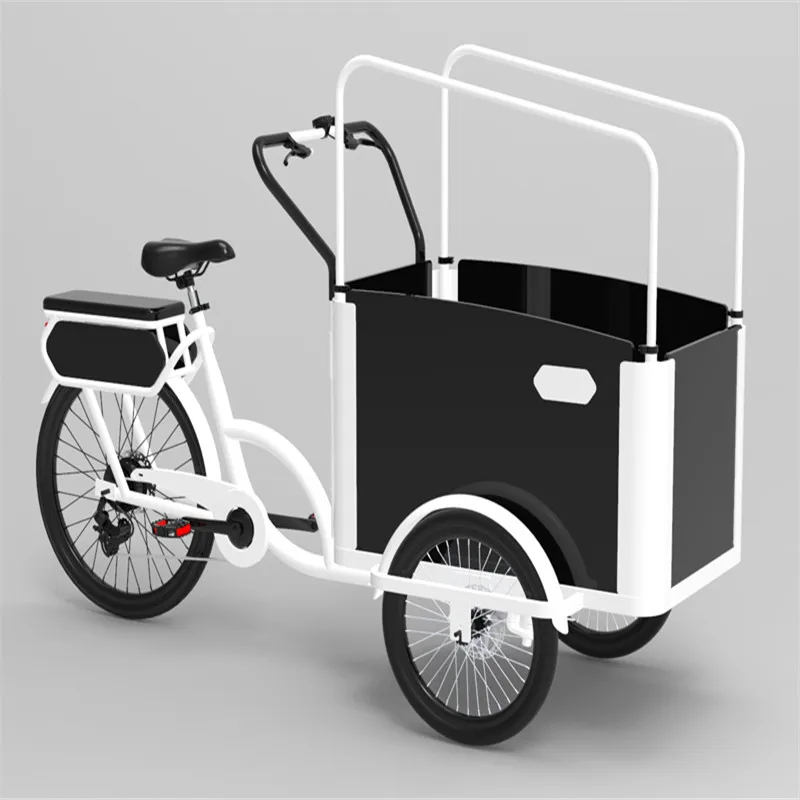 2021 New Designed Electric Or Pedal 3 Wheels Cargo Bike For Carrying Kids Or Pets For Sale