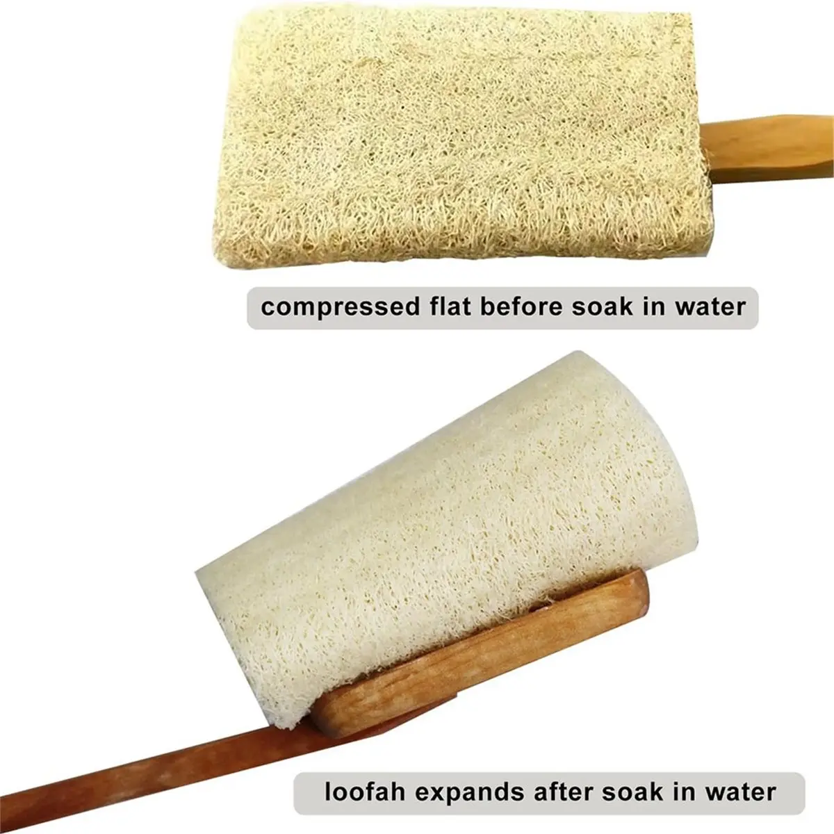 A56K 2 Pack Exfoliating Loofah Luffa Loofa Bath Brush on A Stick, Shower Sponge Back Scrubber with Long Wooden Handle