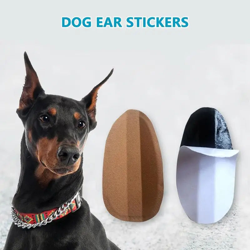 Dog Ear Posting Kit Fixed Dog Ear Stand Up Tool Support Fixed Doberman Dog Ear Posting Kit For Doberman Dog over 2 Months