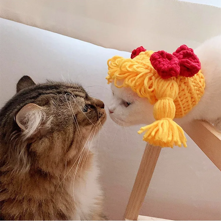 New Pet Hat Cute Wind Braid Headgear Spring and Autumn Pomeranian Teddy Dog Headdress Quirky Cat Headgear