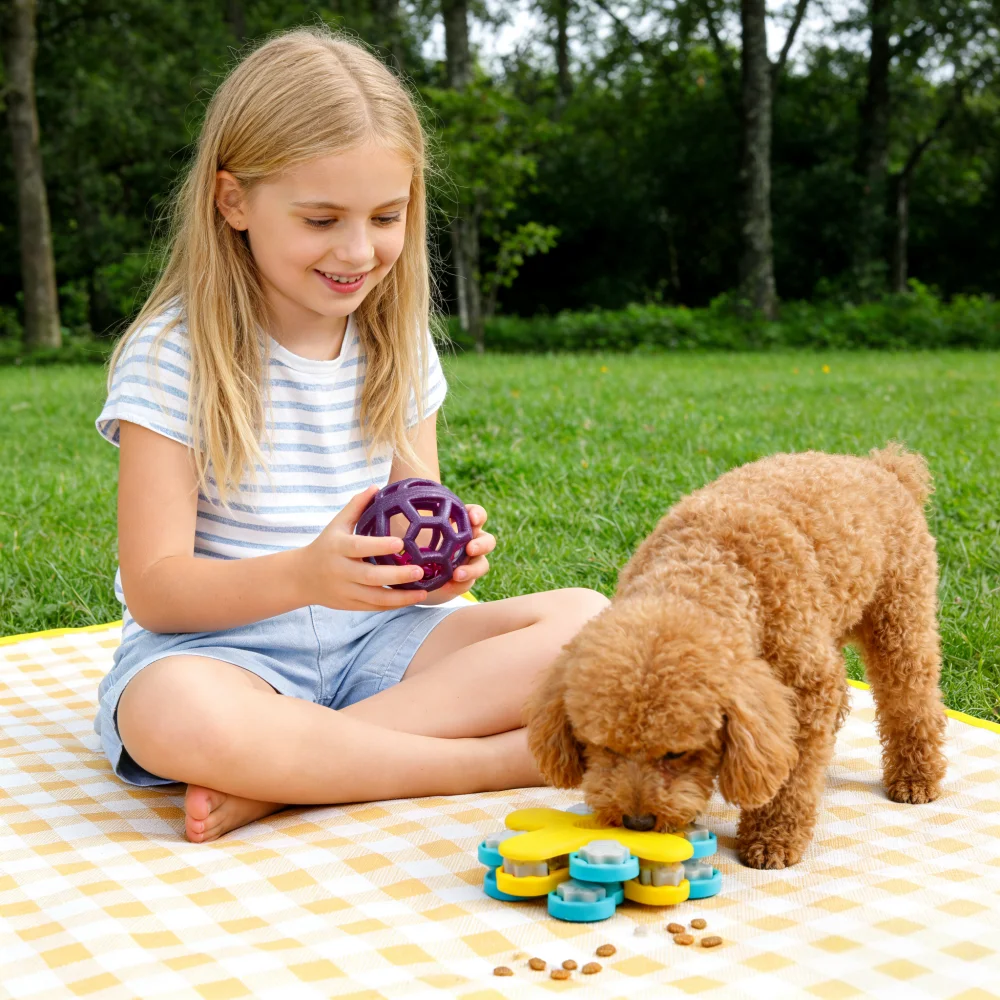 Hundehohles Ballspielzeug, Gummi-Kauspielzeug für Hunde, Reinigung der Zähne, Backenzahn, bissfestes Spielzeug mit Glocke, Welpen-Trainingsspiel – Detail 6