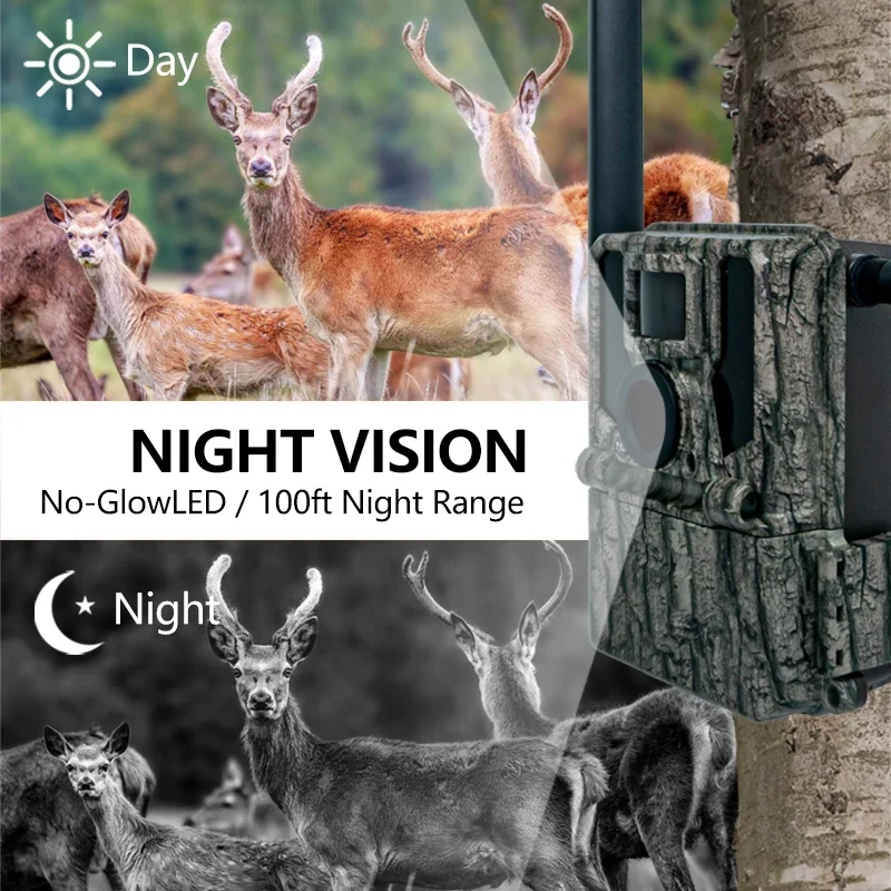 

Dual-antennas Cellular Trail Camera For Wildlife Observation 4G Icould Http Transmit 2K Cellular Game Cameras