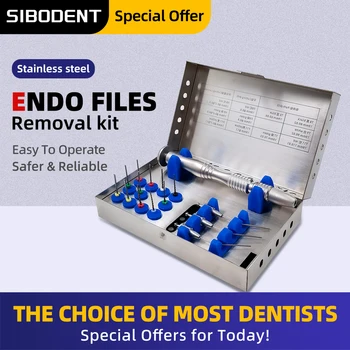Dental Wurzelkanal Datei Extractor Endo Extractor system Gebrochene Datei Entfernung Instrument Extractor Endodontie Datei Entfernung System
