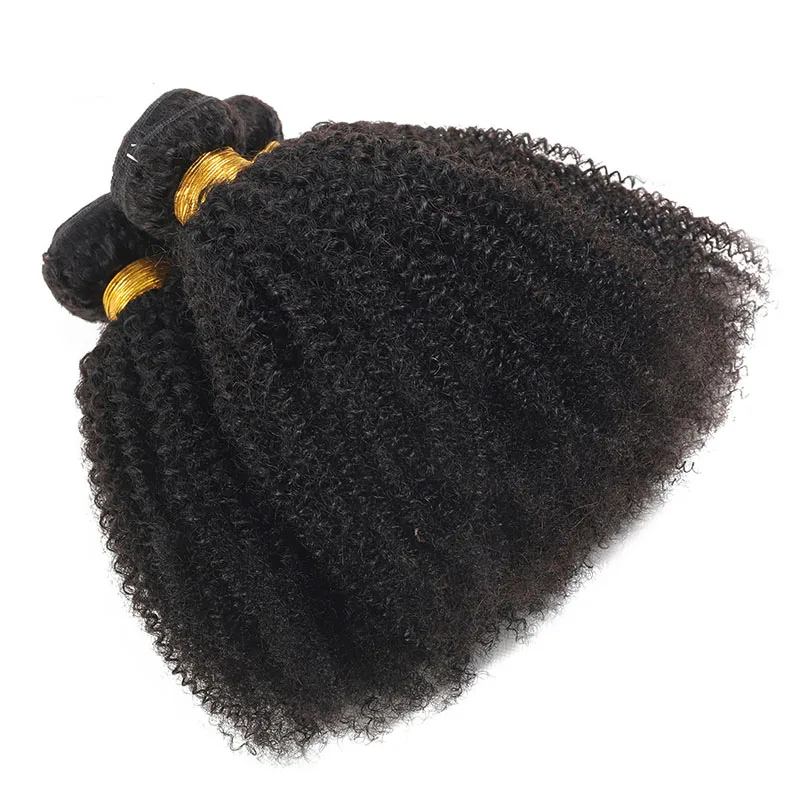 Mongolian Afro Kinky Curly Hair Weave Bundles With 4x4 Lace Closure Natural Black Virgin Double Weft Hair Extension 100g/PC